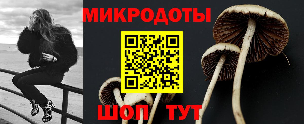 Псилоцибиновые грибы MAGIC MUSHROOMS Магадан