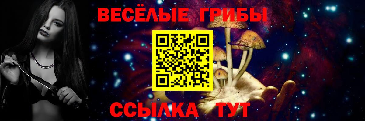 Магадан  Псилоцибиновые грибы Magic Shrooms  Вход с VPN  Галлюциногенные грибы мицелий 